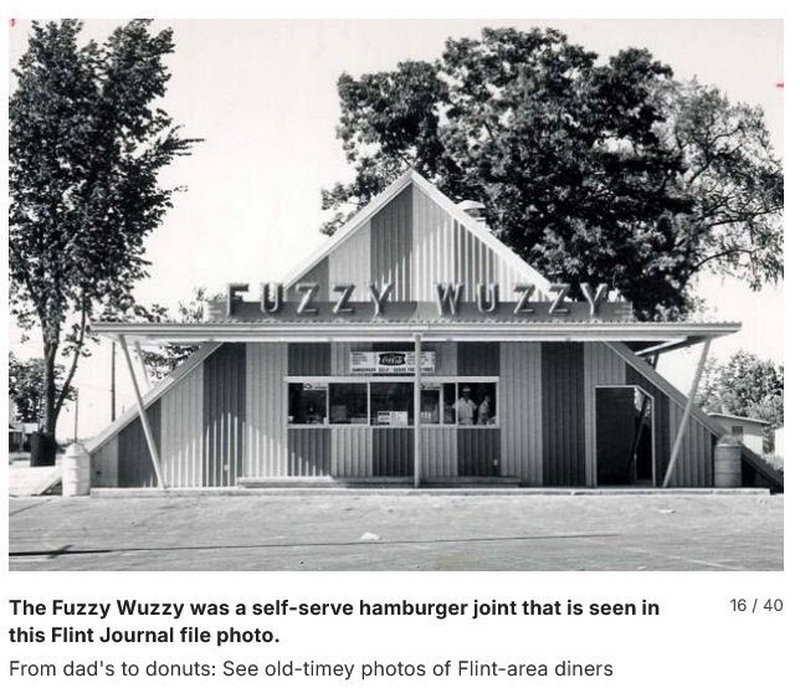 Fuzzy Wuzzy - From Flint Journal (newer photo)